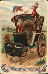 Thanksgiving Greetings Postcard