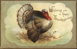 Wishing You a Happy Thanksgiving Turkeys Postcard Postcard Postcard