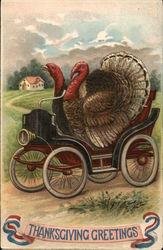 Thanksgiving Greetings - Turkeys Driving Car Postcard Postcard Postcard