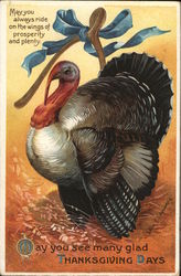 Thanksgiving Turkeys Postcard Postcard Postcard