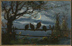 Thanksgiving Day Turkeys Postcard Postcard Postcard