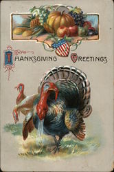 Thanksgiving Greetings Turkeys Postcard Postcard Postcard