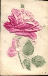 Pink Rose in Relief, Coded Message Postcard Postcard Postcard