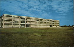 Louisiana State University - Education & Business Building Postcard