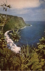 Waipio Valley, Hamakua Honokaa, HI Postcard Postcard Postcard