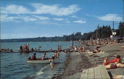 Birch Bay Beach Blaine, WA Postcard Postcard Postcard