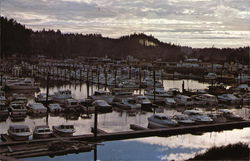 Ilwaco Port Basin Washington Postcard Postcard Postcard