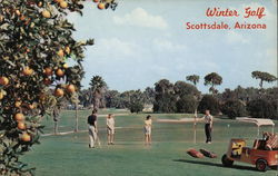 Winter Golf Scottsdale, AZ Postcard Postcard Postcard