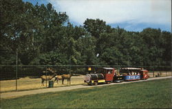 Dakota Zoo - Zoo Train Bismarck, ND Postcard Postcard Postcard