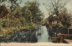 Mill Race from Elmer Lake New Jersey Postcard Postcard Postcard