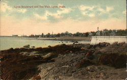 Lynn Boulevard and Sea Wall Postcard