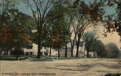 Niagara Avenue, Looking East Postcard