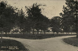 Drives at North Park Oshkosh, WI Postcard Postcard Postcard