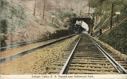 Lehigh Valley R.R. Tunnel Near Bellewood Park Railroad (Scenic) Postcard Postcard Postcard