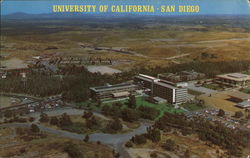 University of California - San Diego Postcard