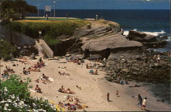 La Jolla Cove Postcard