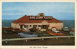 Sea Lion Caves Postcard