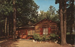 Mountain Springs Lake Cottage Reeders, PA Postcard Postcard Postcard