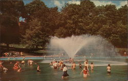 Frog Pond Postcard