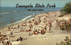 Evangola State Park on Lake Erie Irving, NY Postcard Postcard Postcard