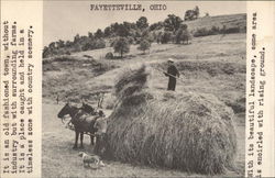 Bringin in the Hay Fayetteville, OH Postcard Postcard Postcard