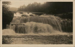 Falls Near Livingston Manor Postcard