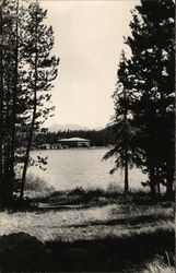 Houses on Lake. Postcard