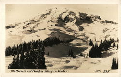 Mt. Rainier and Paradise Valley in Winter Mount Rainier National Park Postcard Postcard Postcard