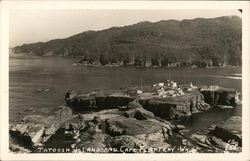 Tatoosh Island and Cape Flattery Postcard