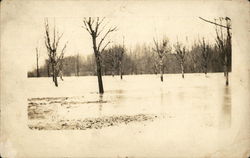 1913 Flood at Persom Mill Postcard