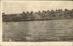 Marines Swimming in Lake Postcard