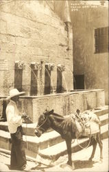 Burrow and Man at Watering Fountain Postcard