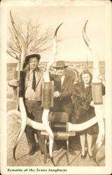 Remains of the Texas Longhorns Postcard