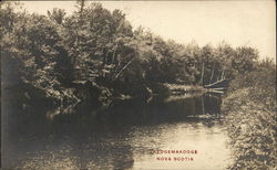 View of River Kedgemakooge, NS Canada Nova Scotia Postcard Postcard Postcard