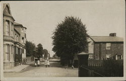 Street Scene Stock, England Essex Postcard Postcard Postcard