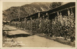 Eatons' Ranch Postcard