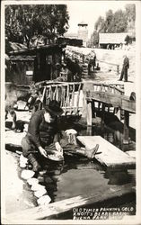 Old Timer Panning Gold, Knott's Berry Farm Postcard