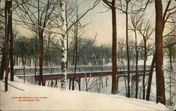 Winter Scene Lake Park Postcard