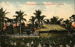 Thatched House Built of Palm Leaves Postcard