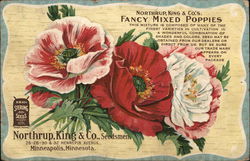 Northrup, King & Co.'s - Fancy Mixed Poppies Advertising Postcard Postcard Postcard