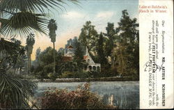 Lake at Baldwin's Ranch in Winter Postcard