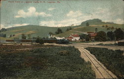 Picnic Train on Ligonier Valley R. R. Pennsylvania Postcard Postcard Postcard