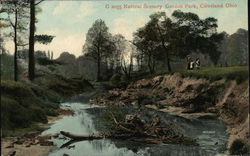 Natural Scenery, Gordon Park Postcard