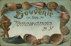 Souvenir from Tonawanda - Shells Postcard