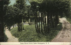 Lake Shore Drive Postcard