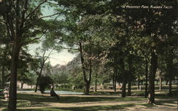 Prospect Park Postcard