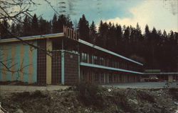 Orchard Motel Postcard