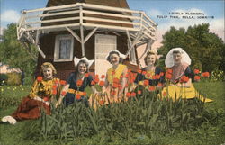 Tulip Time Postcard