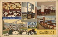 O'Donnell's Sea Grill Washington, DC Washington DC Postcard Postcard Postcard