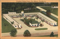 Tropical Palms Court Fort Myers, FL Postcard Postcard Postcard